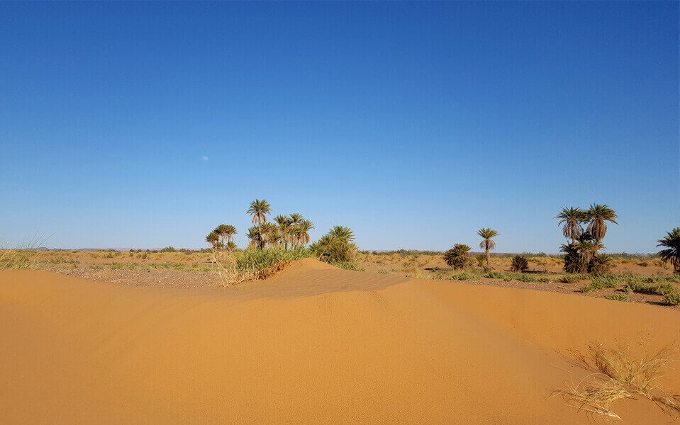 paisaje desierto