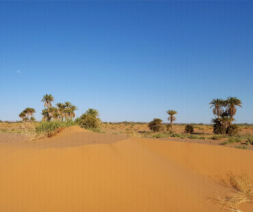 the golden star from desert (excursions from Erg Chebbi)
