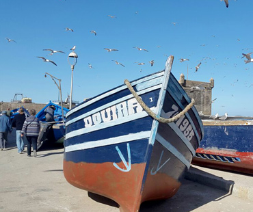 Excursion to Essaouira from Marrakech