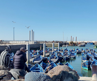 Excursion to Essaouira from Marrakech