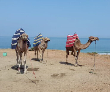 tangier city tour