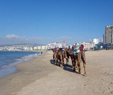 tangier city tour