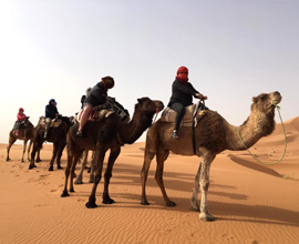 caravana camellos unikmaroctours