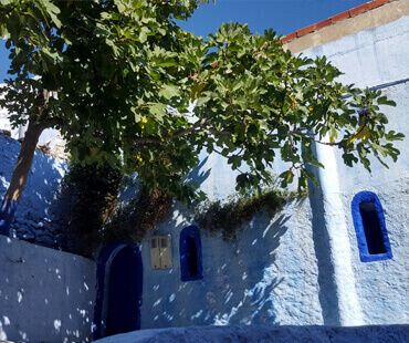 tanger assilah tetuan chaouen unikmaroctours