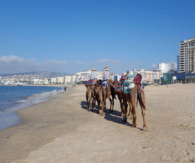 From Tangier to Merzouga desert through the Ziz valley