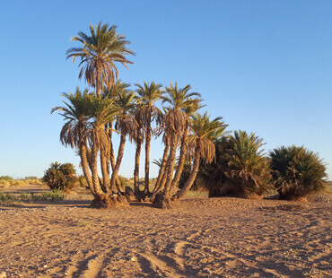 Tour de Tánger al desierto Unik Maroc Tours